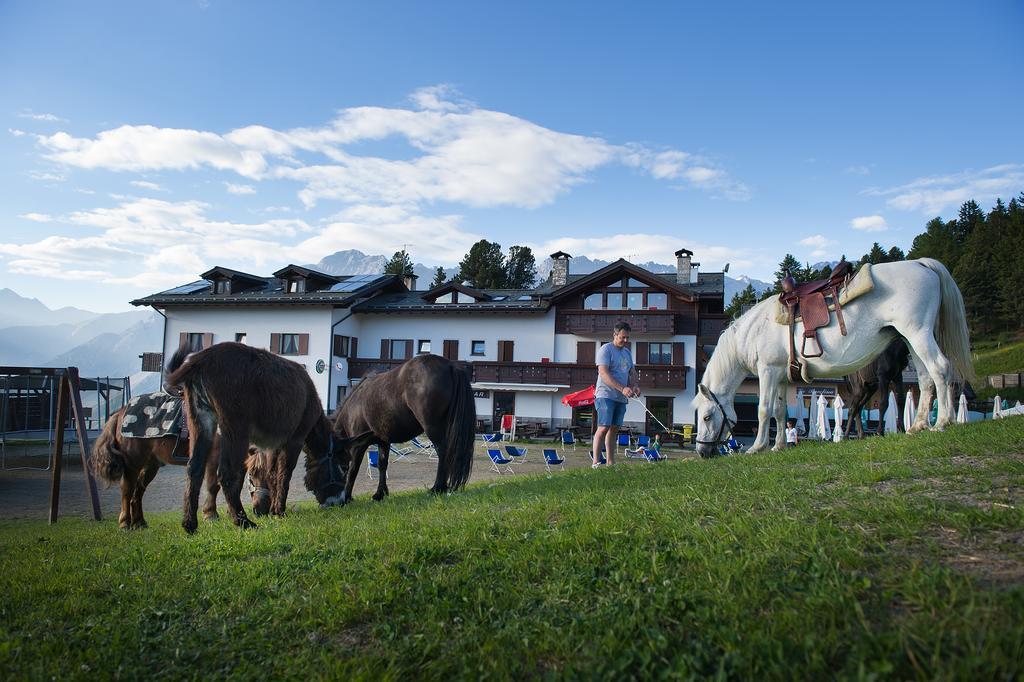 Hotel Gallo Cedrone Valdisotto Eksteriør billede